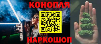 стаф Пенза