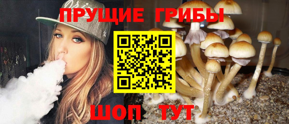 Галлюциногенные грибы прущие грибы Рузаевка